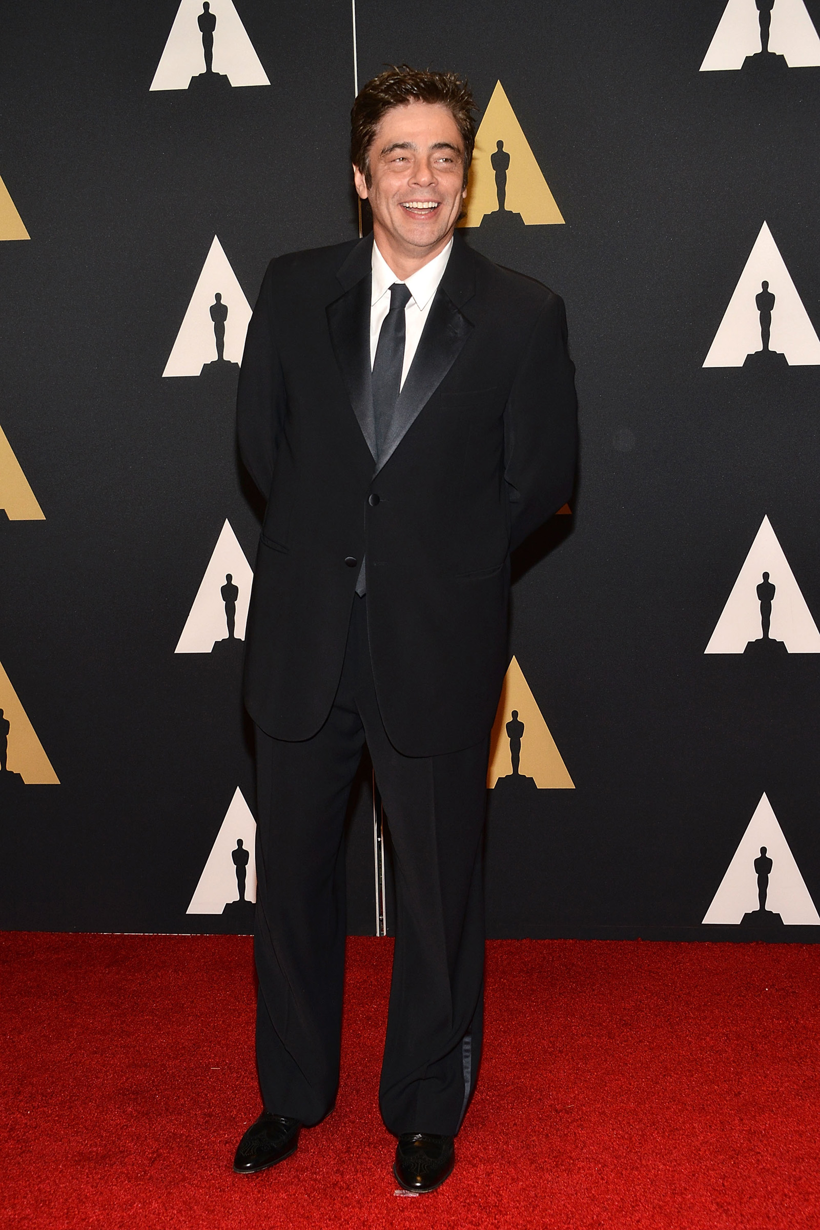 HOLLYWOOD, CA - NOVEMBER 14:  Benicio del Toro attends the Academy of Motion Picture Arts and Sciences' 7th Annual Governors Awards at The Ray Dolby Ballroom at Hollywood & Highland Center on November 14, 2015 in Hollywood, California.  (Photo by Araya Diaz/WireImage)